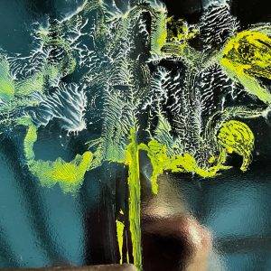 Expositie Villa Mondriaan beeldend kunstenaar Alexandra Meerdink 1