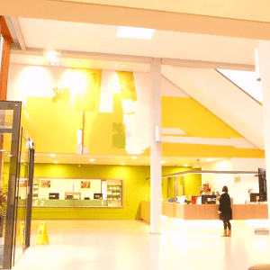 Kunstopdracht openbare ruimte Gemeentehuis Winterswijk door kunstenares Alexandra Meerdink