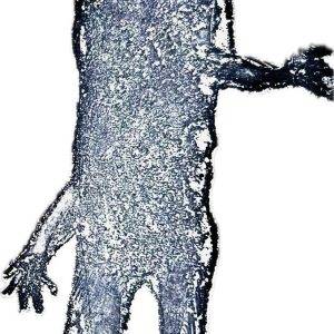 Figuur - Ets op koperplaat 3